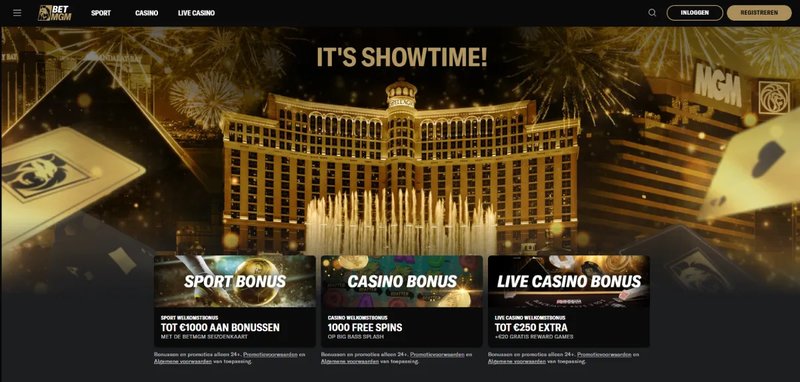 Overview of snatch online casino